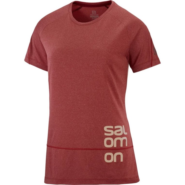 Camiseta Salomon Cross Run Estampados Corta Sleeve Mujer Rojos | MX VIMB309